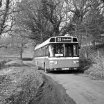 Wilts & Dorset Bus FPR61V to Hindon