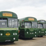 Green Line 1951 AEC Regal Buses LYF379 & MLL806