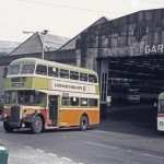 Halifax 1965 Leyland Bus CCP523C at Elmwood Garage