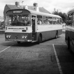 cs155aa