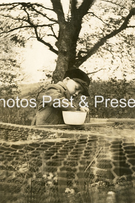 boy-feeding-pets-country-garden-1930