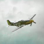 P510 Mustang Candyman Moose Fighter Plane