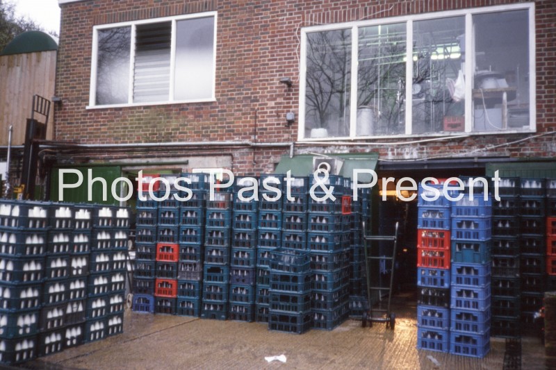 Milk Crates & Bottles at French's Dairy 1980s